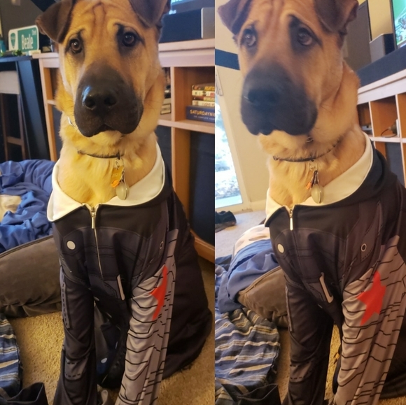 Welcome to my closet! - Picture 14 of 16